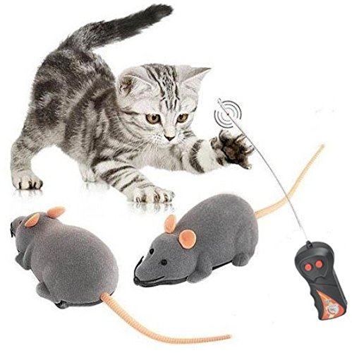 ネズミ型ラジコンのオススメ3選とそのレビュー | ねこちゃんホンポ