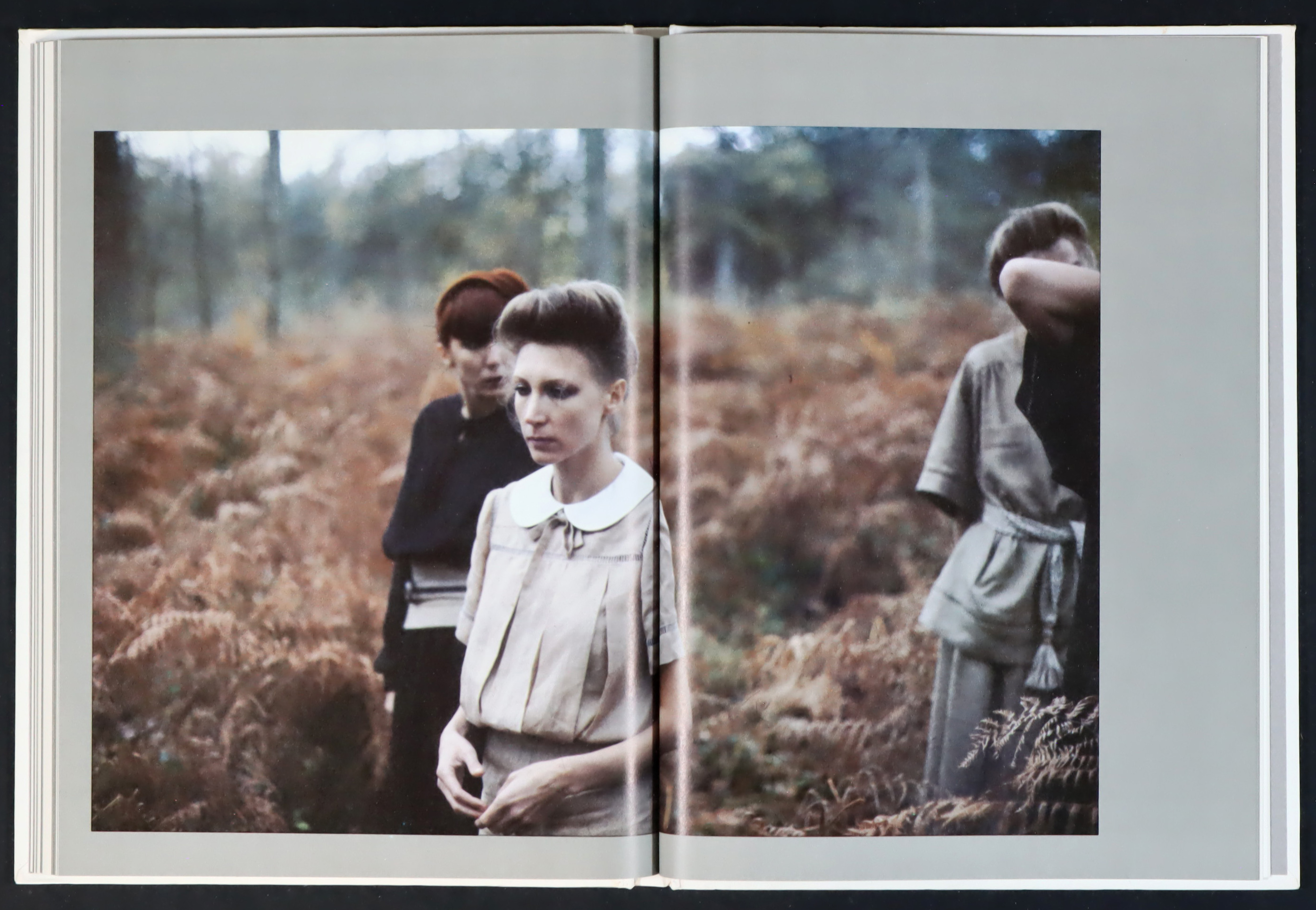 TURBEVILLE, DEBORAH: Wallflower.