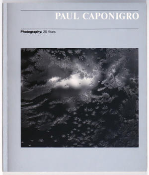 Megaliths. Photographs by Paul Caponigro - photo-eye