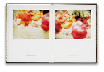 Photographs 1951-2007. Photographs by Cy Twombly - photo-eye