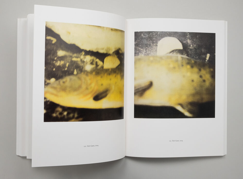 Cy Twombly – Photographs 1951-2007 (*SA). (softcover edition