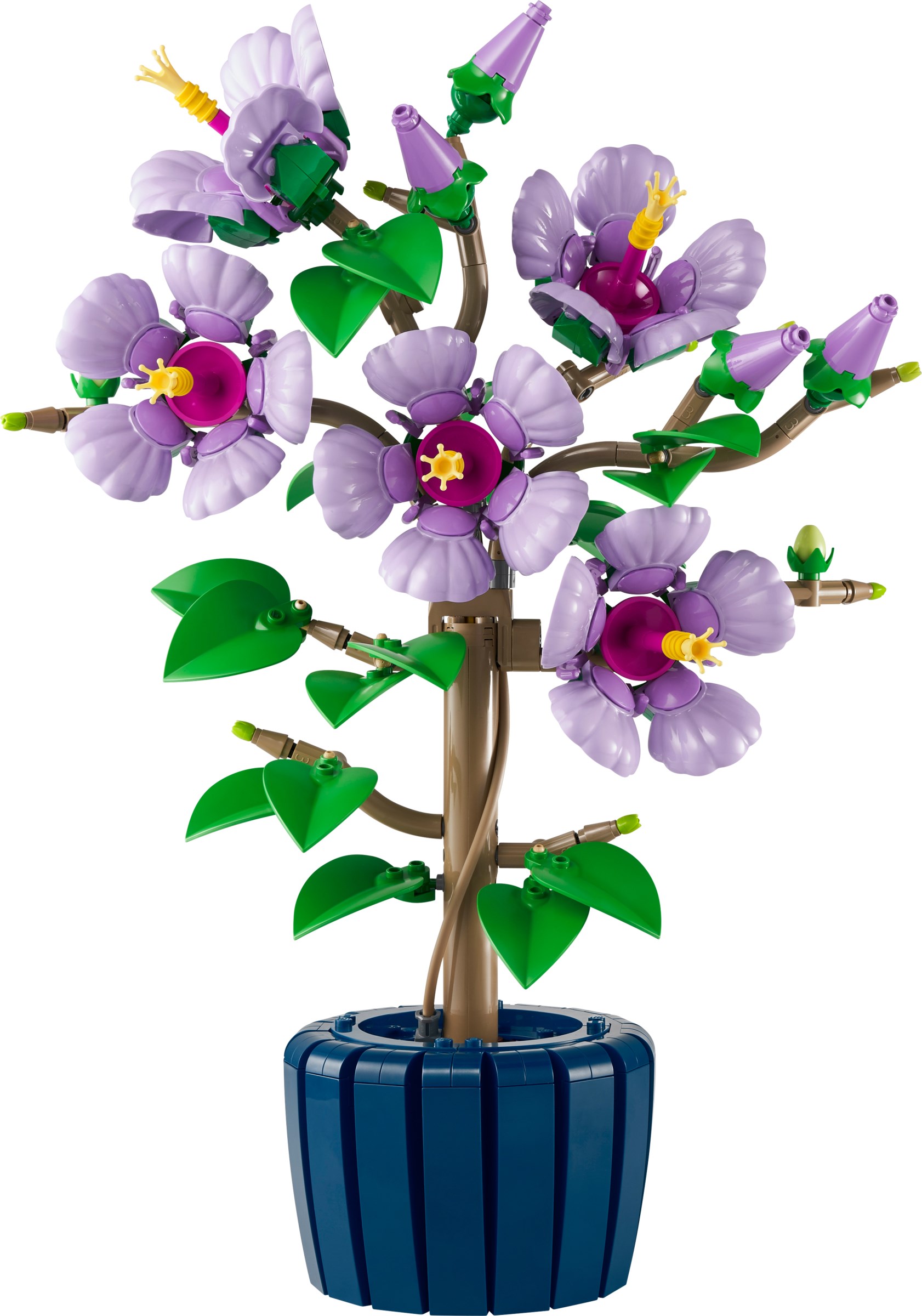 LEGO Botanicals Hibiscus and Mini Bonsai Trees unveiled! | Brickset