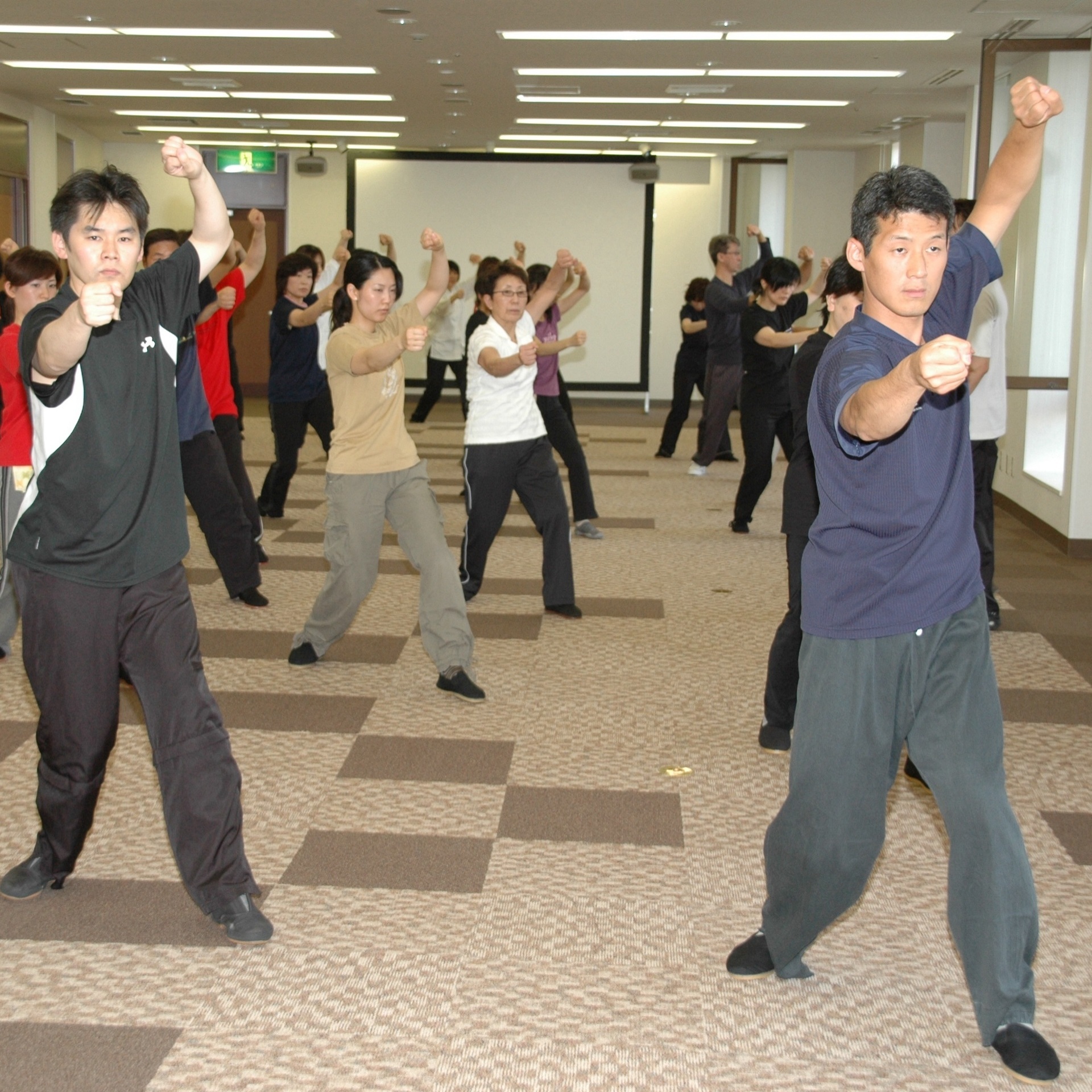 王樹金老師直系 本式の気功・太極拳・形意拳・八卦掌・推手 | 全日本柔