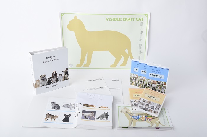 通信】キャットケアスペシャリスト講座 | ヒューマンアカデミー（通信