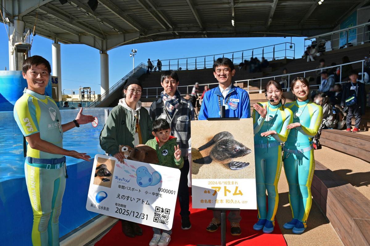 えのすいで誕生したミナミアメリカオットセイ 愛称は「アトム」に