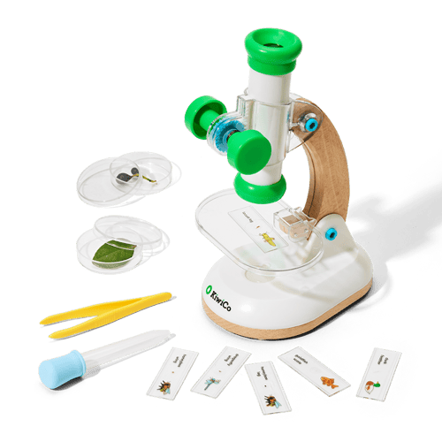 Science Experiment Kits | Easy Science Projects | KiwiCo