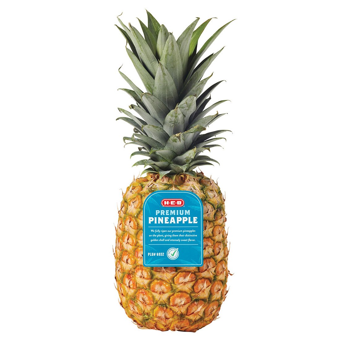 H-E-B Fresh Premium Pineapple, Each | Joe V's Smart Shop | Low