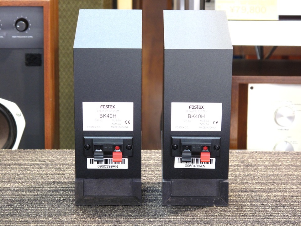 フォステクス バックロードホーンBK40H 完動品 BK40H | Fostex