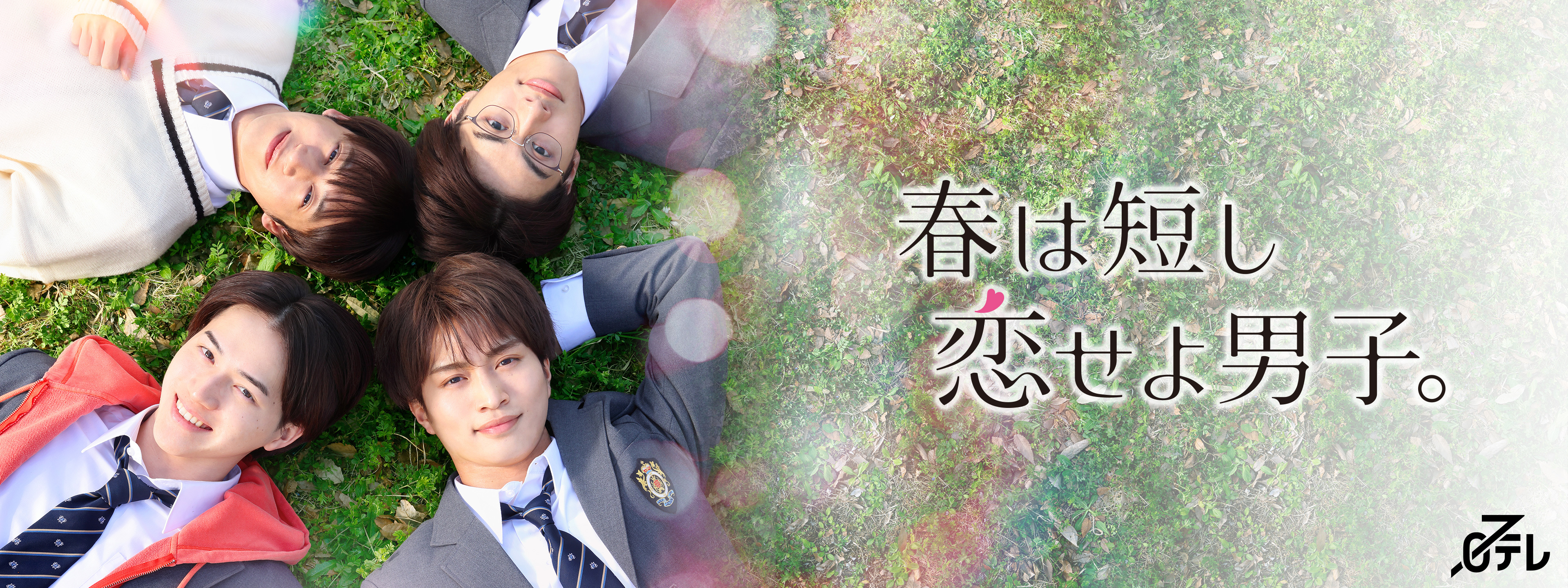 春は短し恋せよ男子。 | Hulu(フールー)