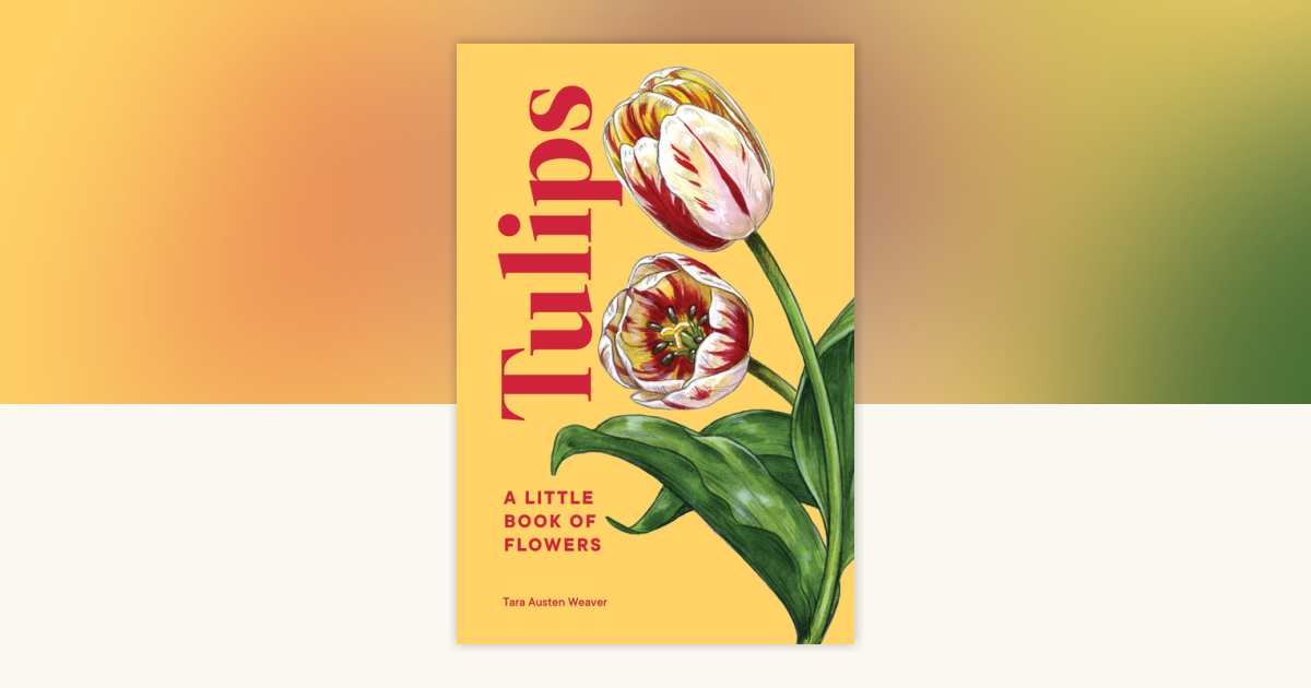 Tulips by Tara Austen Weaver: 9781632174444 | PenguinRandomHouse