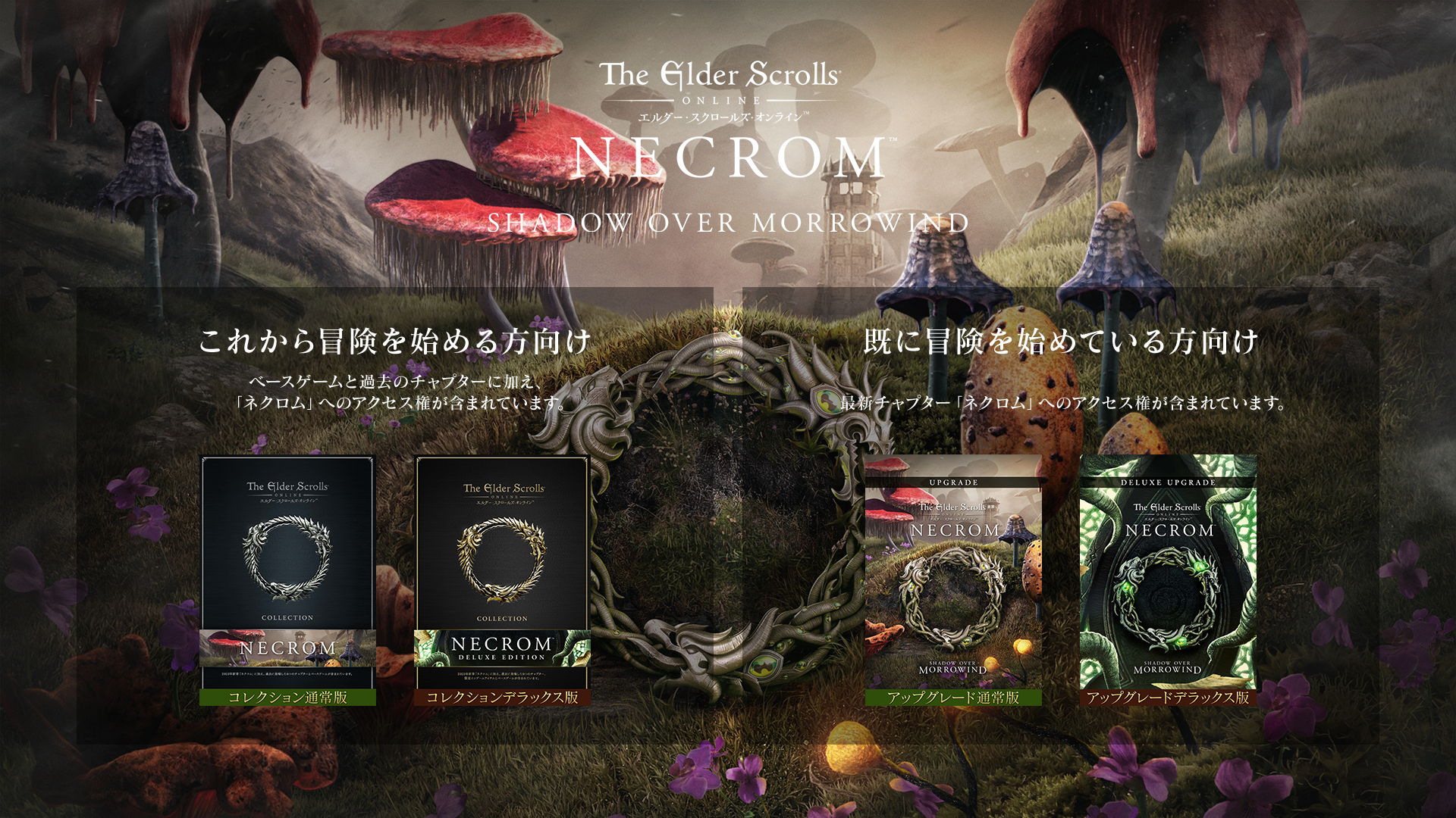 エルダー・スクロールズ・オンライン：商品紹介 - TESO／ESO～エルダー