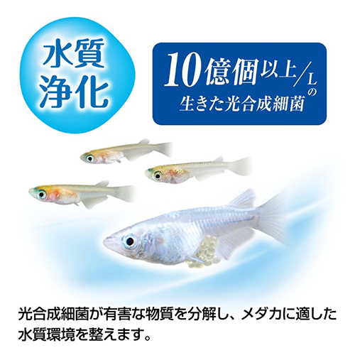 金魚元気 ケアウォーター 300ml | 水中生物用品・水槽用品 通販