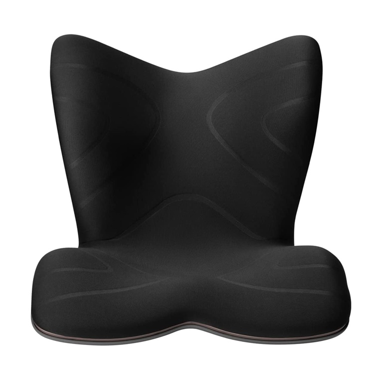 MTG Style PREMIUM スタイルプレミアム 腰痛 骨盤 姿勢 | イオン