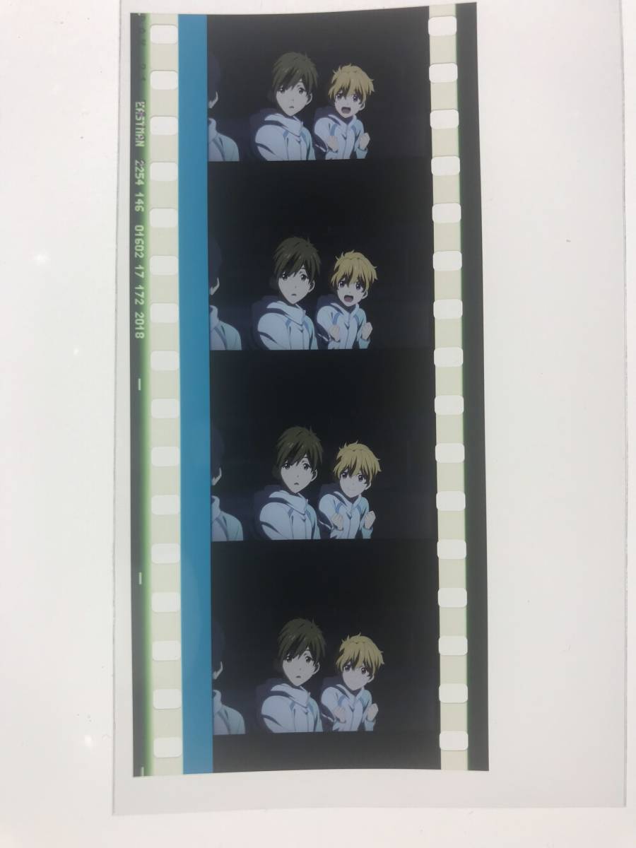 劇場版 Free! -Road to the World- 夢 4週目 入場者特典 フィルム 橘