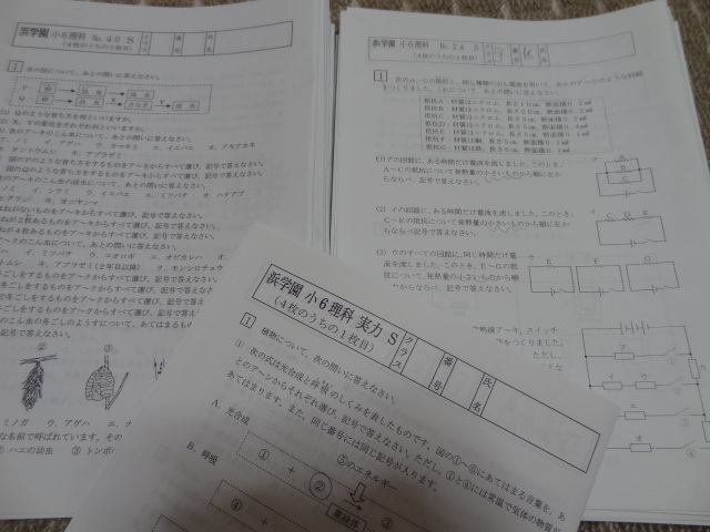 浜学園 小6 Sクラス 理科 41回分 復習テスト プリント 欠品なし