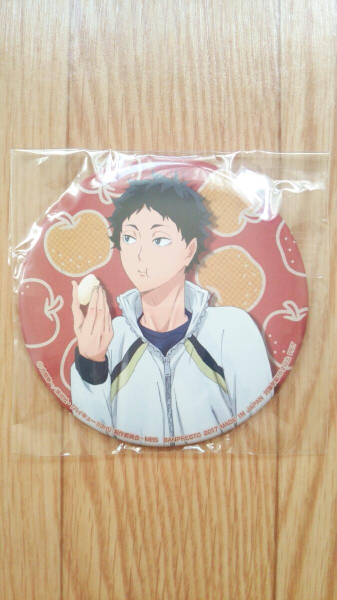 ハイキュー!!米を食べろ 肉を食べろ 野菜も食べろ!! BIG缶バッジ 日向