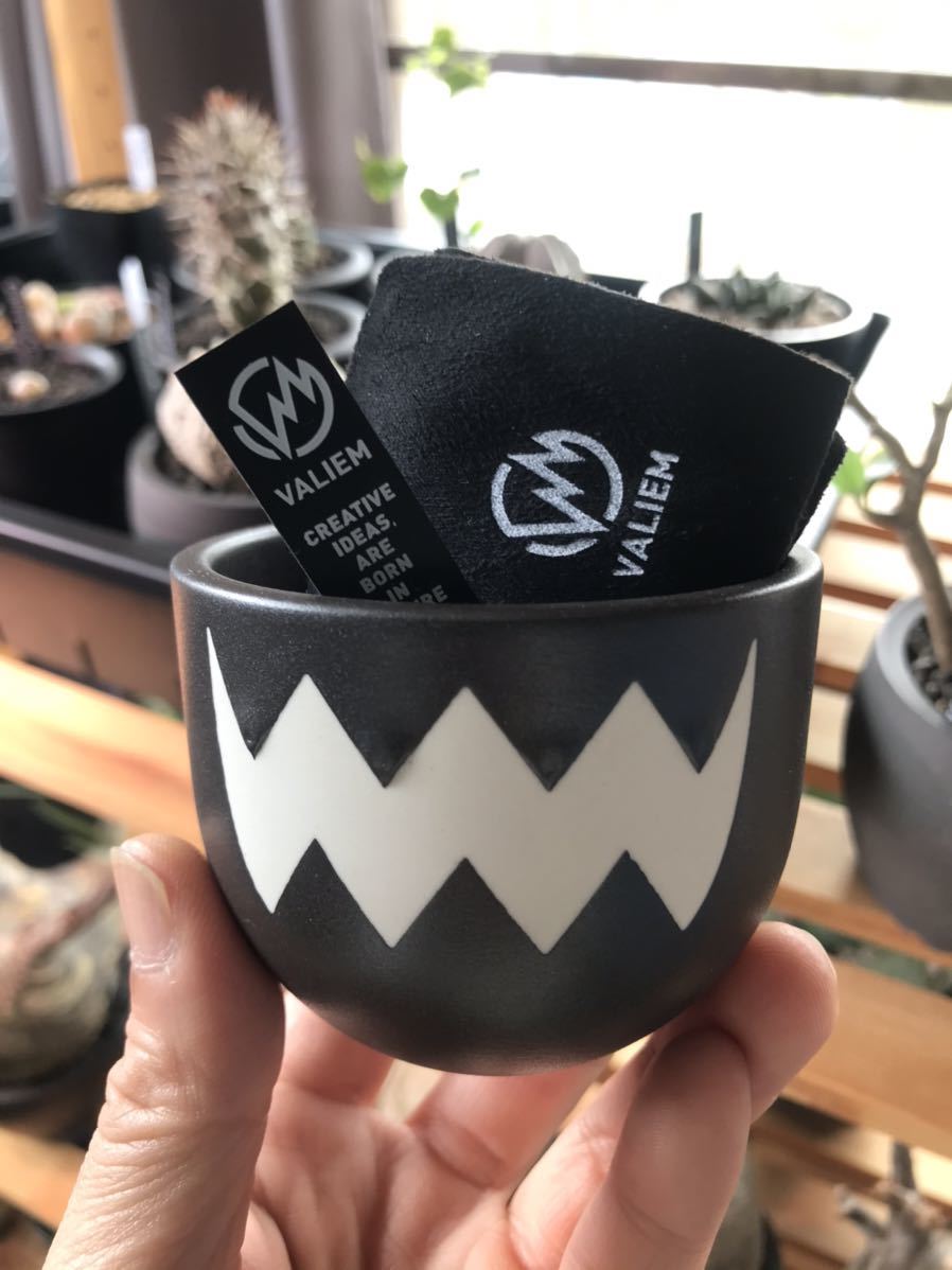 valiem bitter Lサイズ VALIEM バリエム BITTER Lサイズ 【新品未使用