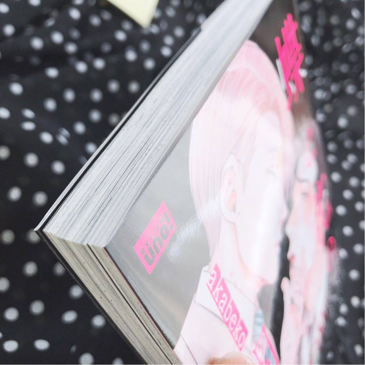 新品】蝶と花の関係性 akabeko 特典 ペーパー 付き 新品 帯あり BL