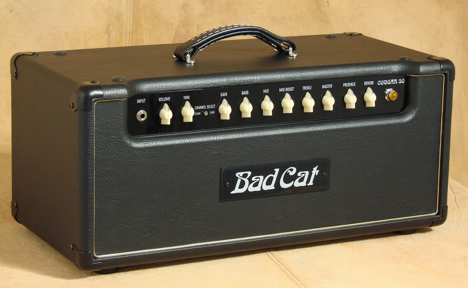 Badcat cougar 50 ツアーケース付き Bad cat Badcat cougar 50 ツアー