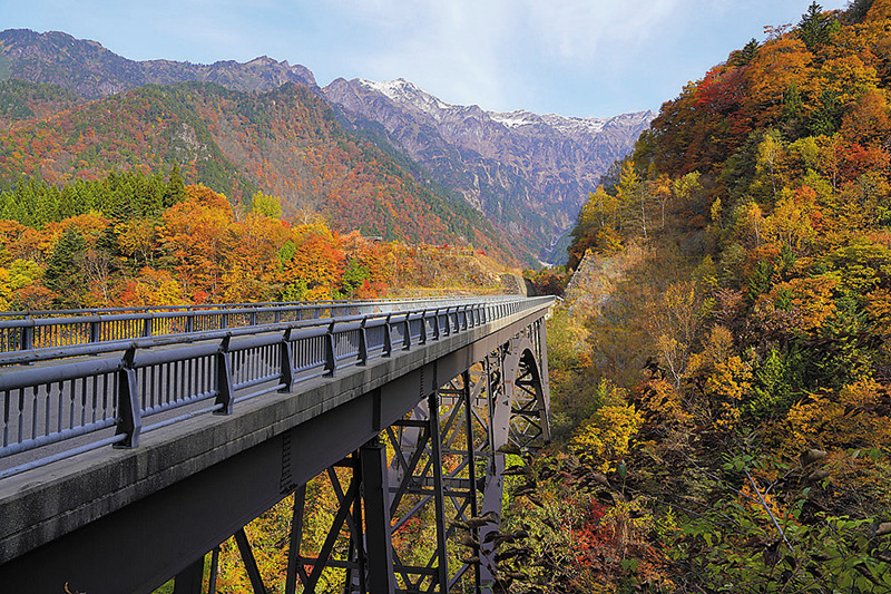 日本全国の秋を堪能する「秋道」〜Autumn road in Japan〜 Part.2