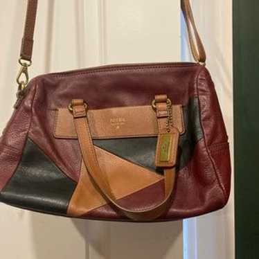 Patchwork fossil - Gem