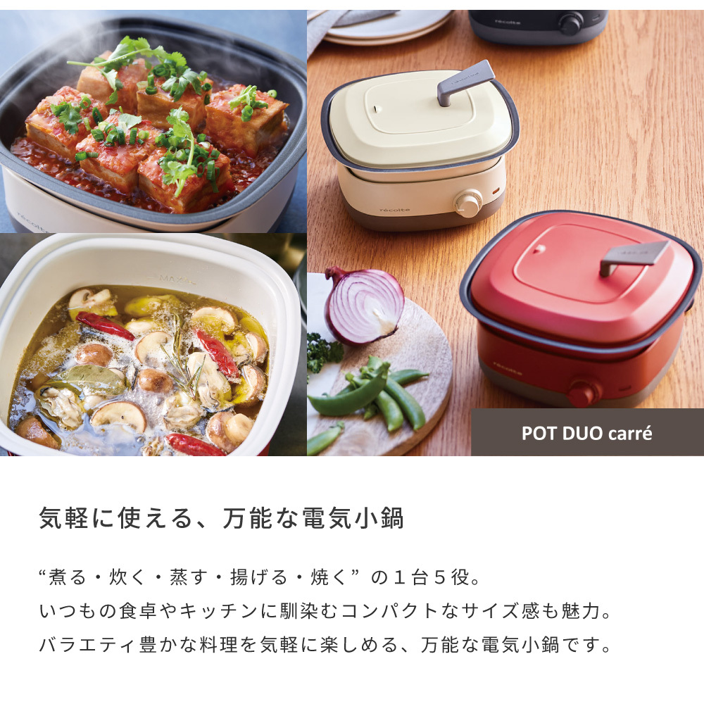 Recolte レコルト ポットデュオ キャレ POT DUO carre RPD-4ホット