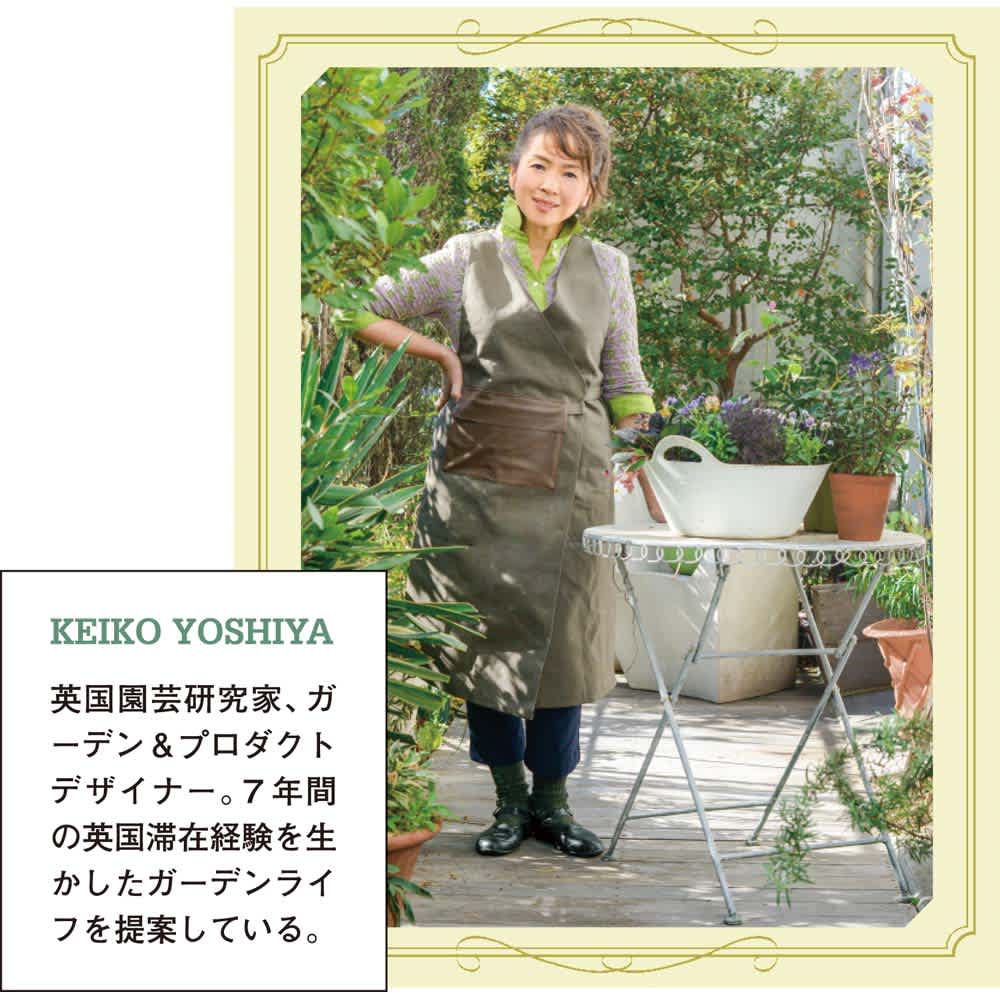 バイオゴールドの土 ストレスゼロ 15リットル×3袋組 通販 - ディノス