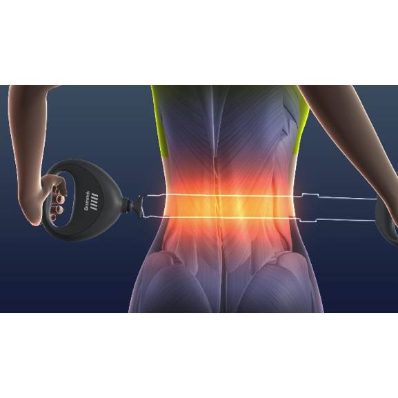 Dr.Stretch】監修 コアストレッチバンド 通販 - ディノス