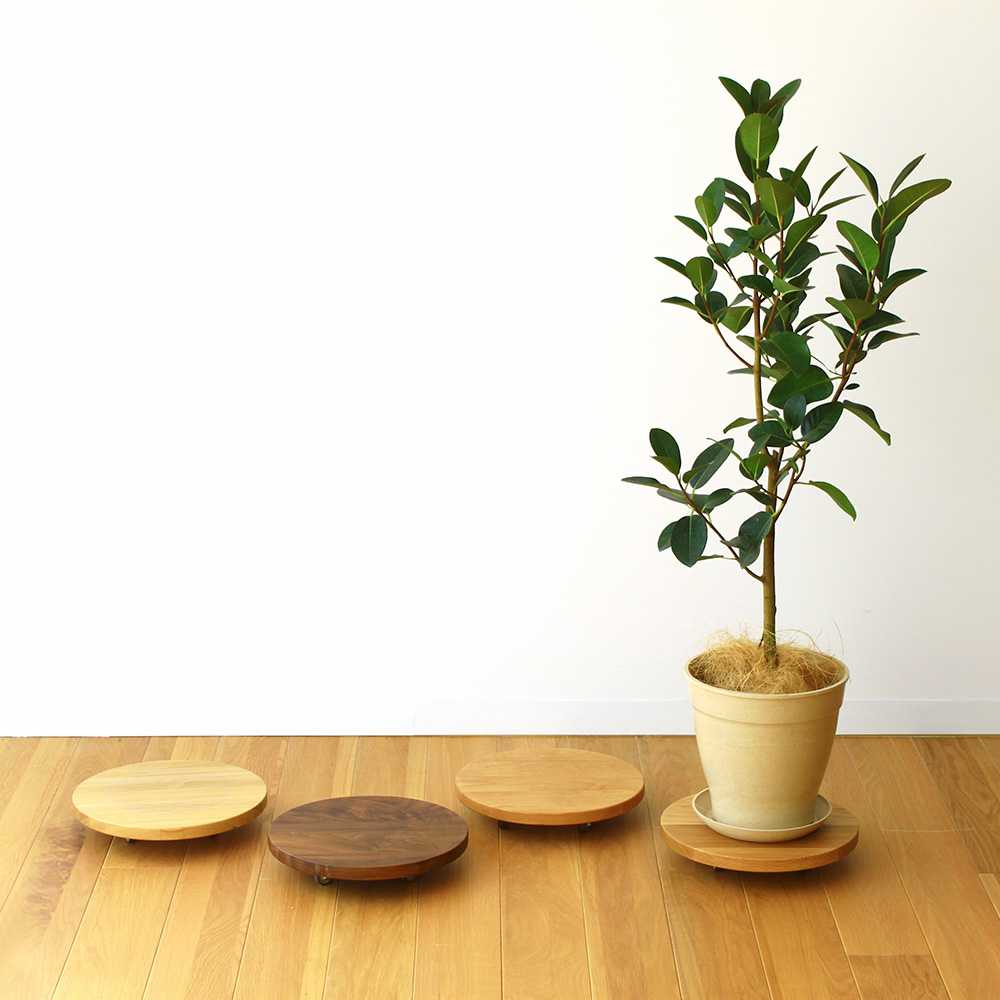 無垢材のキャスター付き プランターベース ホワイトオーク 径24cm 通販