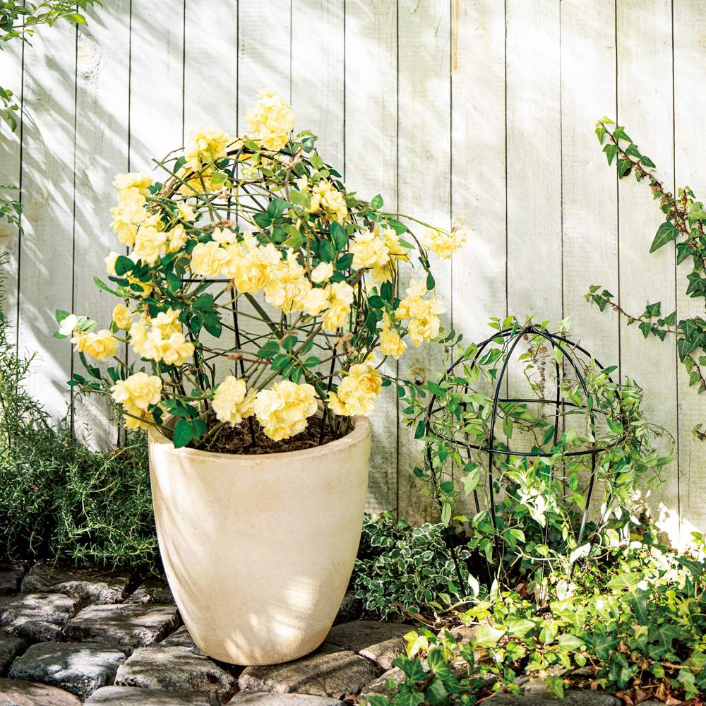 ラウンドオベリスク2個組 通販 - ディノス