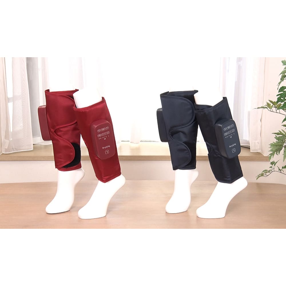 フィットネスクラブが作った スタイリーレッグ 通販 - ディノス