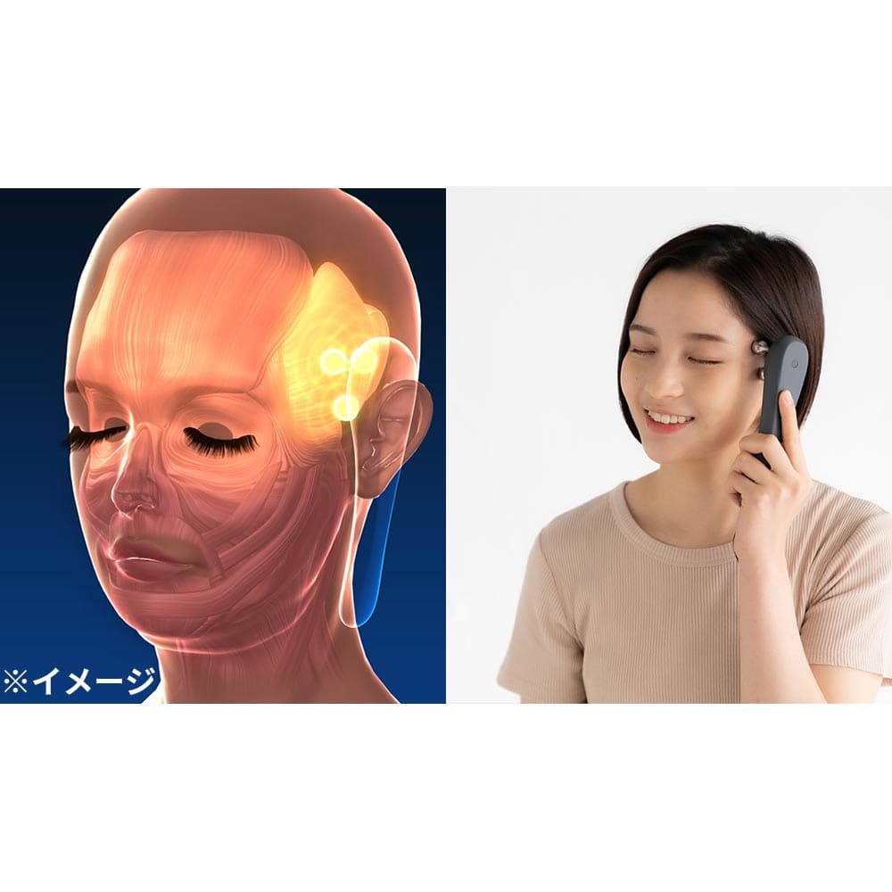 シェイプビート プレミアム 通販 - ディノス