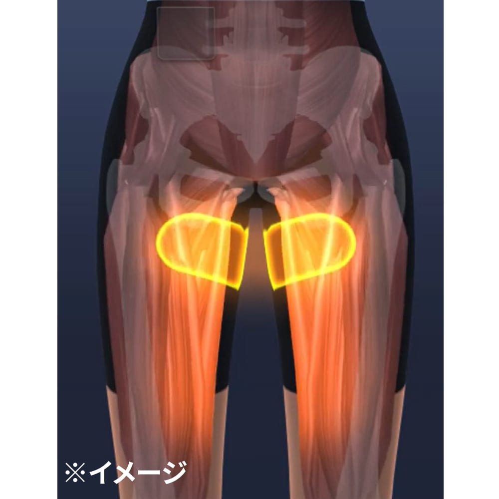 イーサンテ EMSトレーニングボトムス 通販 - ディノス