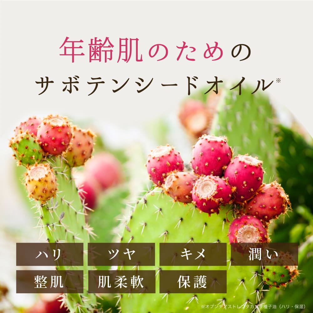 nopa/ノパ 番組特別セット（ファンデーション2本＋オールインワンゲル