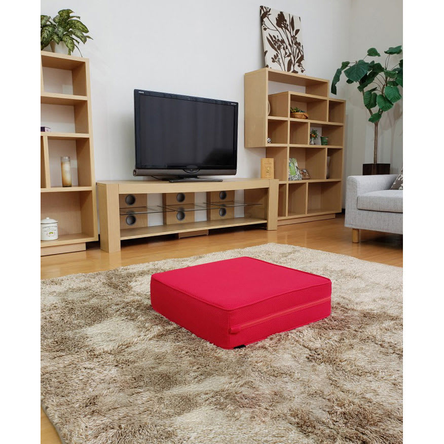 スリムビューティパッド 通販 - ディノス