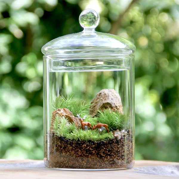 園芸ネット本店｜[送料無料][2020年敬老の日ギフト][予約]苔テラリウム