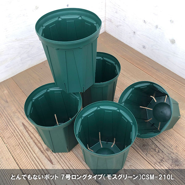 園芸ネット本店｜スリット鉢7号ロングタイプCSM-210L（モスグリーン