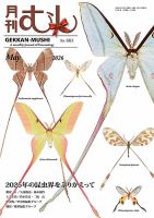 BE-KUWA（ビークワ）｜定期購読で送料無料