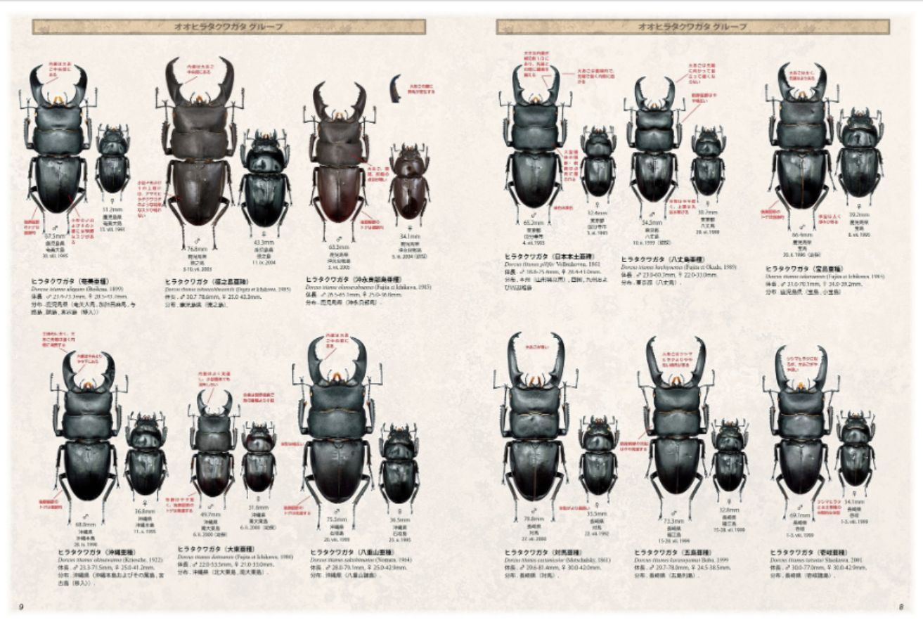 BE-KUWA（ビークワ） 70 (発売日2019年01月22日) | 雑誌/電子書籍/定期