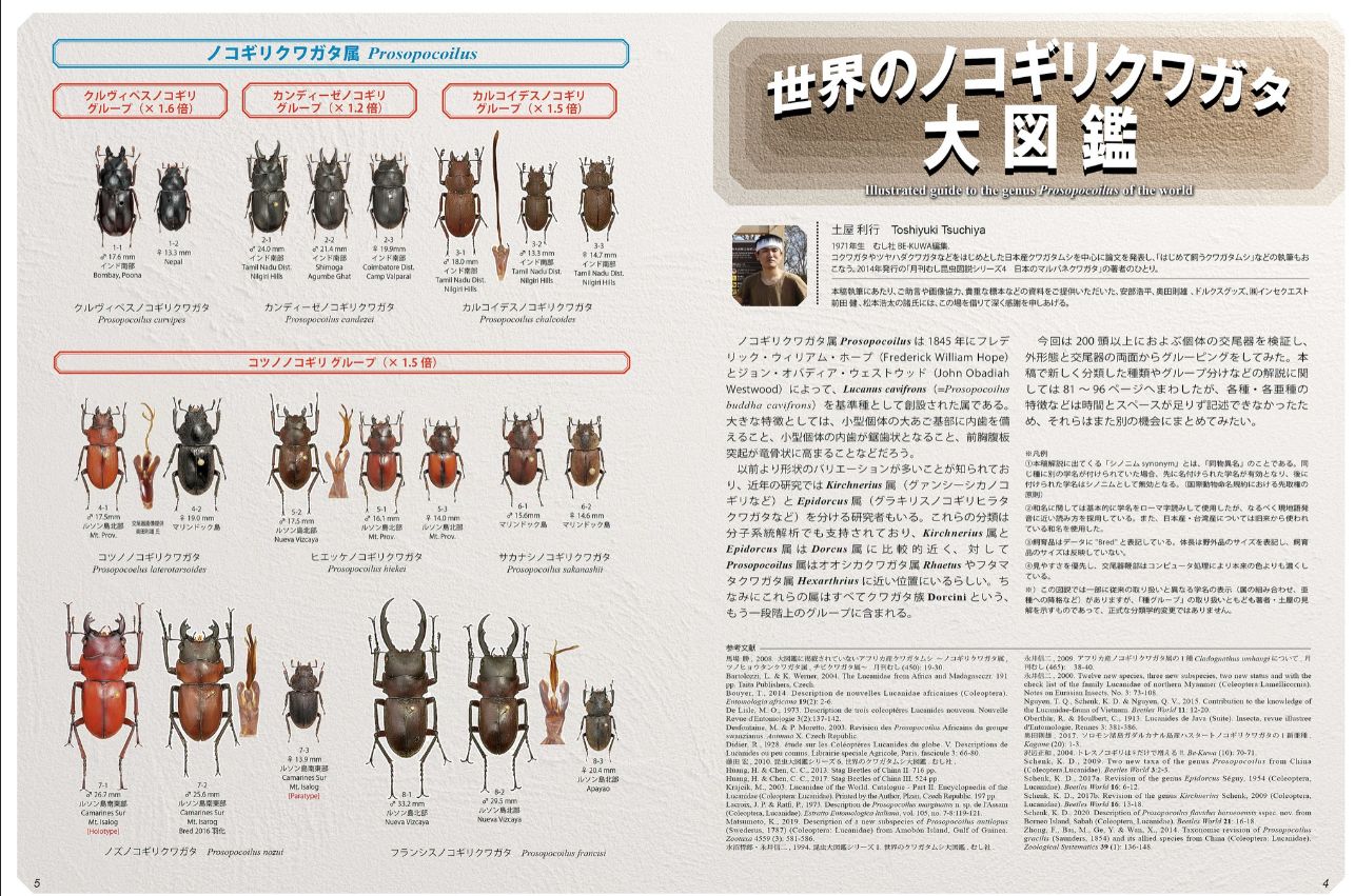 BE-KUWA（ビークワ）｜定期購読で送料無料