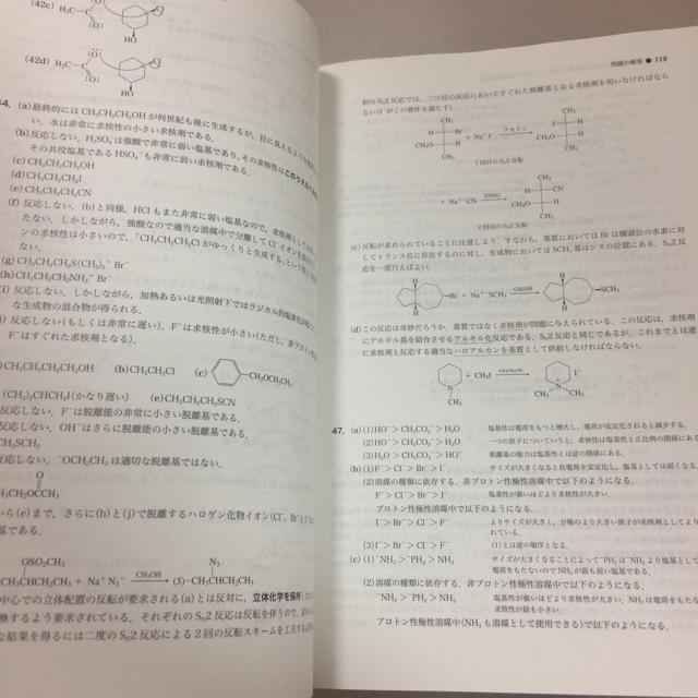 ボルハルトショアー 解答の通販 by 杏's shop｜ラクマ