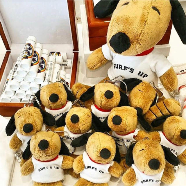 日焼けスヌーピー moni ハワイ ぬいぐるみ キーホルダーマスコット