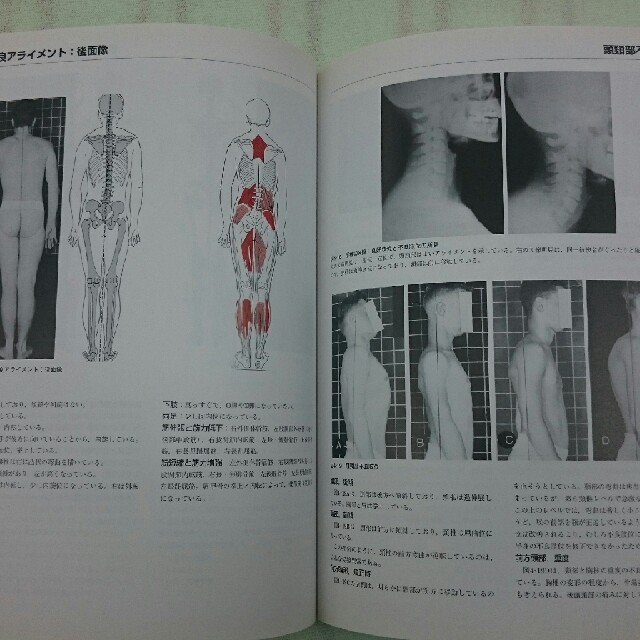 ケンダル 筋:機能とテスト 姿勢と痛みの通販 by ヨッシー's shop｜ラクマ