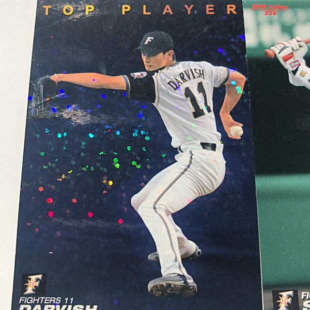 北海道日本ハムファイターズ - 日ハム2009年【カルビープロ野球