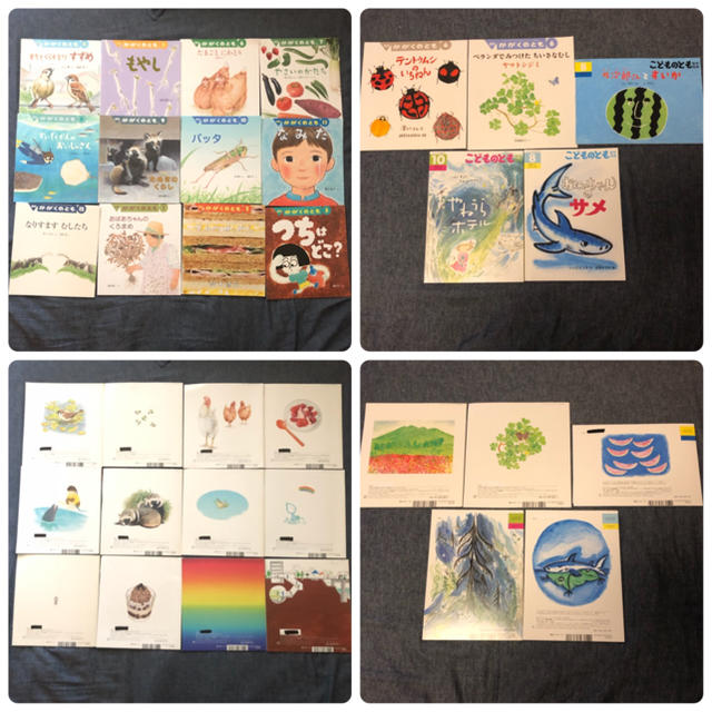 こどものとも かがくのとも 年少 年中 年長 41冊 まとめ売り 福音館