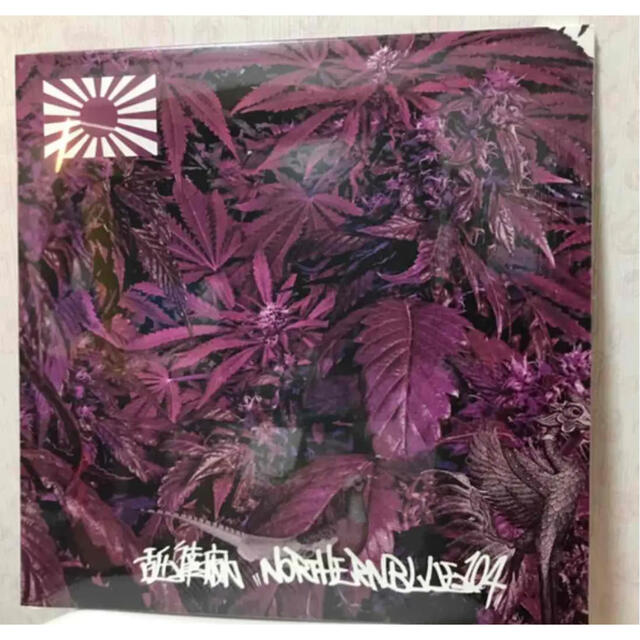 舐達麻 NORTHERNBLUE 1.0.4. 2LPの通販 by ビリー's shop｜ラクマ