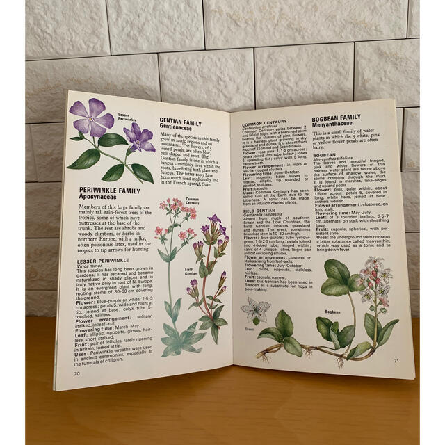 WILD FLOWERS 植物図鑑 洋書 古書の通販 by sata's shop｜ラクマ