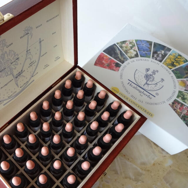 新品☆30年10月期限□ヒーリングハーブス社バッチフラワーレメディ40本