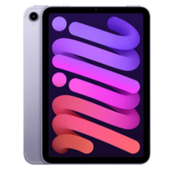 New 2021 Apple iPad Mini Wi-Fi 64GB - Space Gray (6th Generation