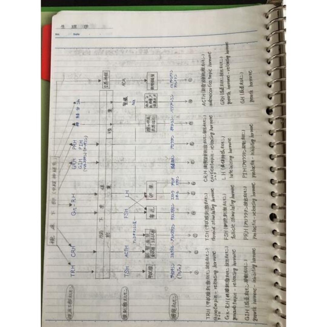 医療系学科定期試験、国家試験対策シリーズ【解剖学・生理学】まとめ